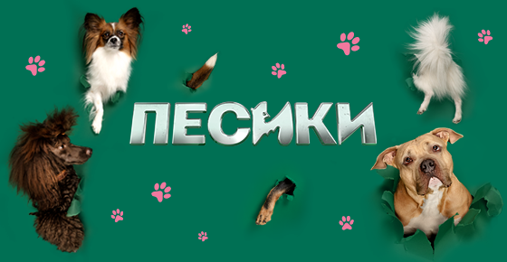 ПЕСИКИ